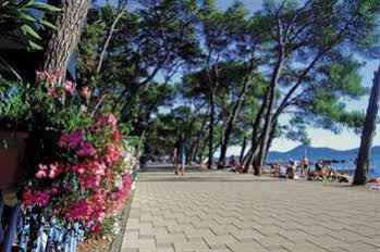 Adria Apartments Biograd Na Moru Exteriör bild